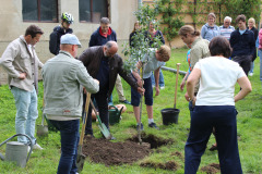 IMG_9222-bearbeitet_20250904_205726_0000